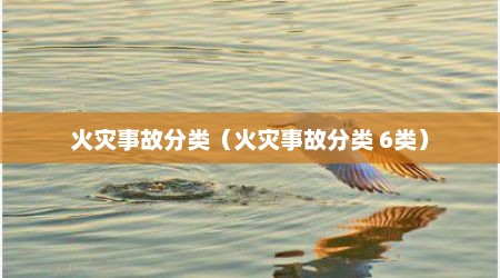 火灾事故分类（火灾事故分类 6类）