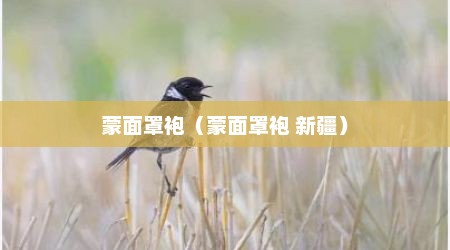 蒙面罩袍（蒙面罩袍 新疆）