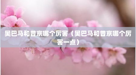 奥巴马和普京哪个厉害（奥巴马和普京哪个厉害一点）
