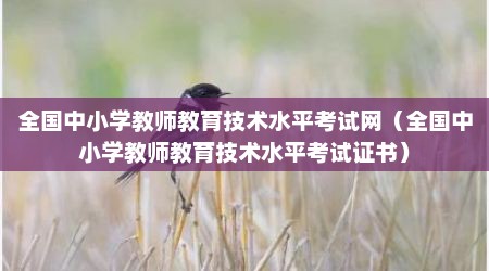 全国中小学教师教育技术水平考试网（全国中小学教师教育技术水平考试证书）