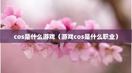 cos是什么游戏（游戏cos是什么职业）