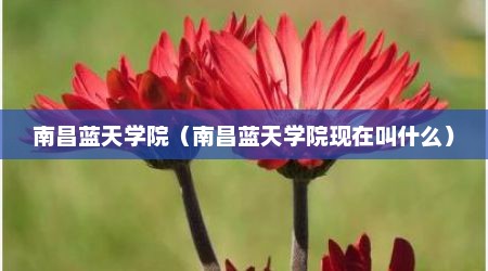 南昌蓝天学院（南昌蓝天学院现在叫什么）
