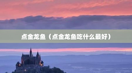 点金龙鱼（点金龙鱼吃什么最好）