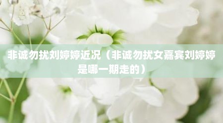 非诚勿扰刘婷婷近况（非诚勿扰女嘉宾刘婷婷是哪一期走的）