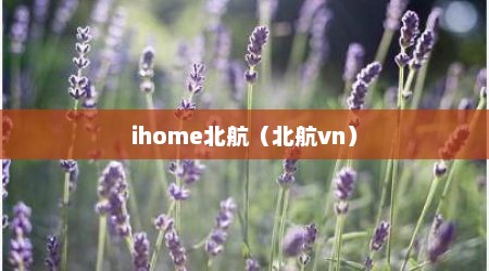 ihome北航（北航vn）
