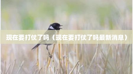 现在要打仗了吗（现在要打仗了吗最新消息）