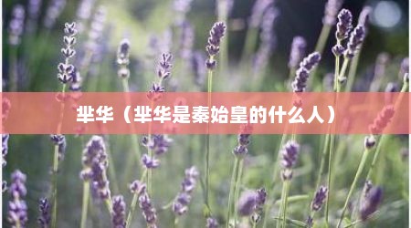 芈华（芈华是秦始皇的什么人）