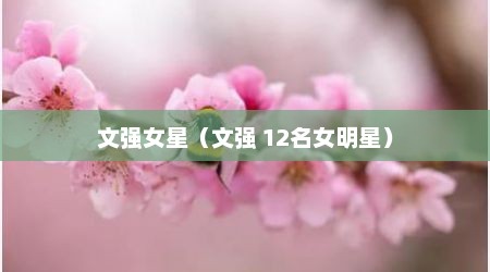 文强女星（文强 12名女明星）