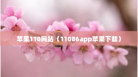 苹果110网站（11086app苹果下载）
