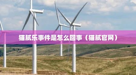 猫腻乐事件是怎么回事（猫腻官网）