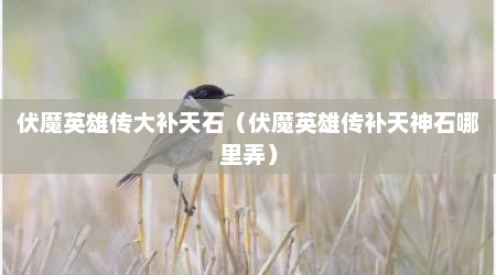 伏魔英雄传大补天石（伏魔英雄传补天神石哪里弄）