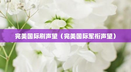 完美国际刷声望（完美国际军衔声望）