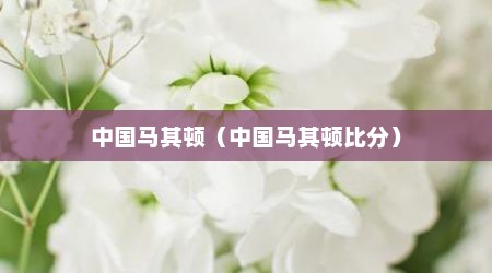 中国马其顿（中国马其顿比分）