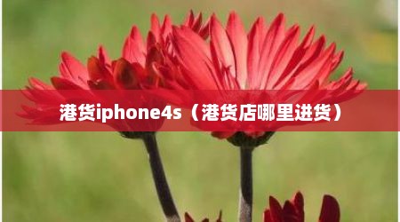 港货iphone4s（港货店哪里进货）