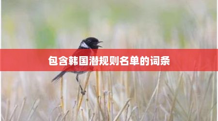 包含韩国潜规则名单的词条