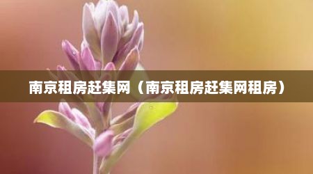 南京租房赶集网（南京租房赶集网租房）