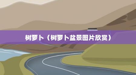 树萝卜（树萝卜盆景图片欣赏）