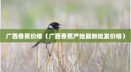 广西香蕉价格（广西香蕉产地最新批发价格）