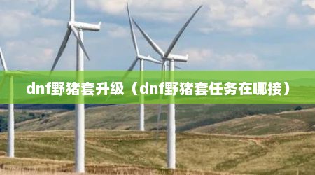 dnf野猪套升级（dnf野猪套任务在哪接）