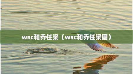 wsc和乔任梁（wsc和乔任梁图）