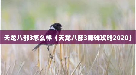 天龙八部3怎么样（天龙八部3赚钱攻略2020）
