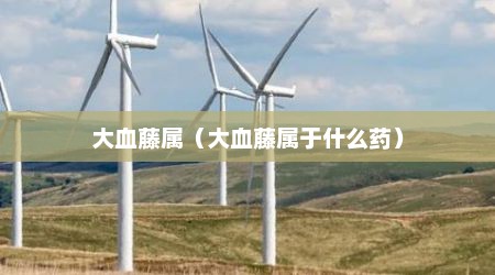 大血藤属（大血藤属于什么药）