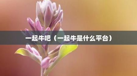 一起牛吧（一起牛是什么平台）