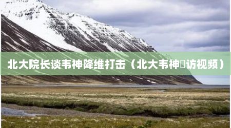 北大院长谈韦神降维打击（北大韦神釆访视频）