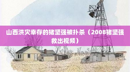 山西洪灾幸存的猪坚强被扑杀（2008猪坚强救出视频）