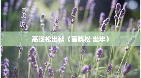 高晓松出狱（高晓松 坐牢）
