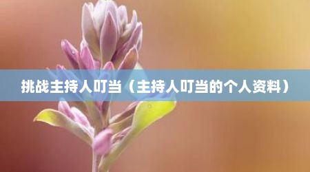 挑战主持人叮当（主持人叮当的个人资料）