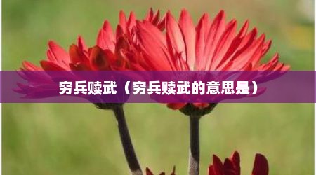 穷兵赎武（穷兵赎武的意思是）