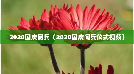 2020国庆阅兵（2020国庆阅兵仪式视频）
