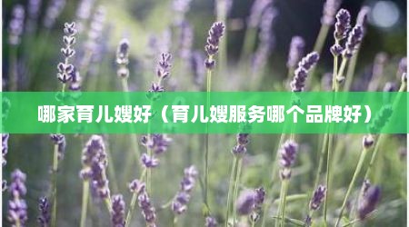 哪家育儿嫂好（育儿嫂服务哪个品牌好）