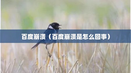 百度崩溃（百度崩溃是怎么回事）