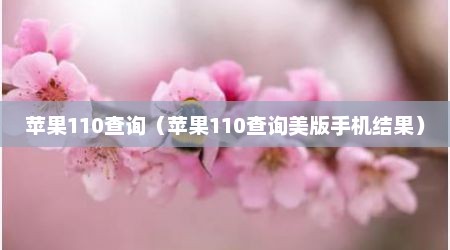 苹果110查询（苹果110查询美版手机结果）