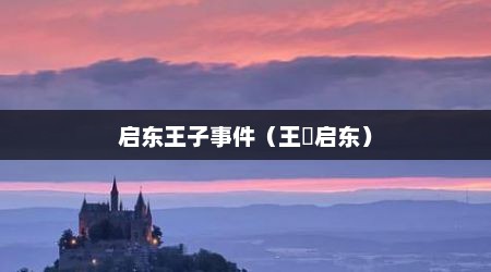 启东王子事件（王瑊启东）