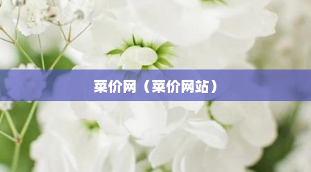 菜价网（菜价网站）