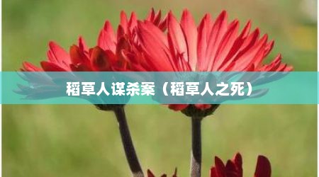 稻草人谋杀案（稻草人之死）