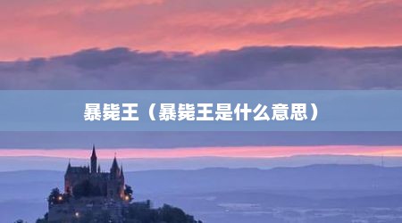 暴毙王（暴毙王是什么意思）