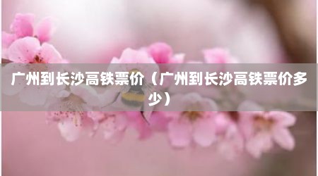广州到长沙高铁票价（广州到长沙高铁票价多少）