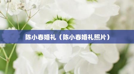 陈小春婚礼（陈小春婚礼照片）