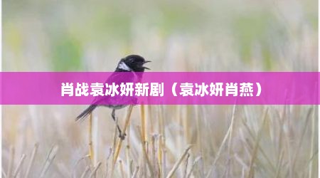 肖战袁冰妍新剧（袁冰妍肖燕）