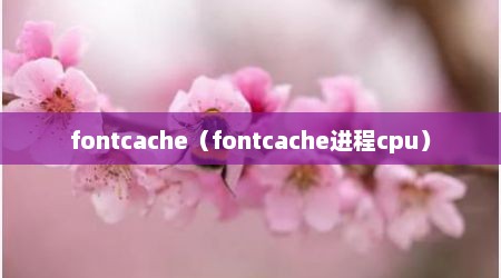 fontcache（fontcache进程cpu）