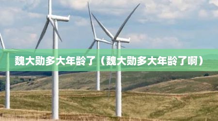 魏大勋多大年龄了（魏大勋多大年龄了啊）