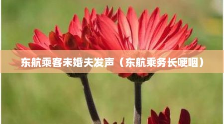 东航乘客未婚夫发声（东航乘务长哽咽）