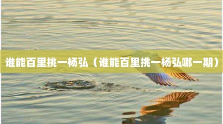 谁能百里挑一杨弘（谁能百里挑一杨弘哪一期）