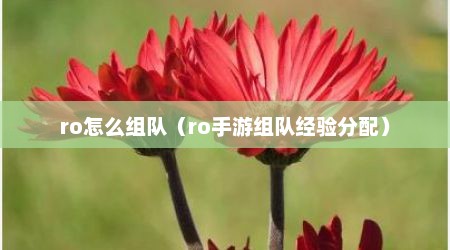 ro怎么组队（ro手游组队经验分配）