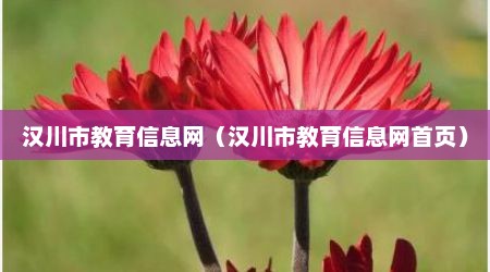 汉川市教育信息网（汉川市教育信息网首页）