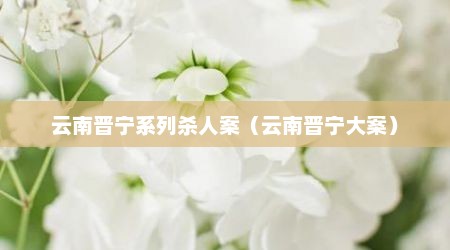 云南晋宁系列杀人案（云南晋宁大案）